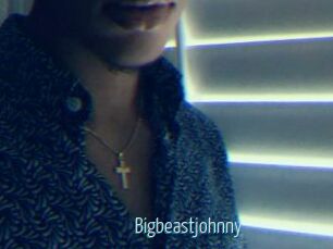 Bigbeastjohnny