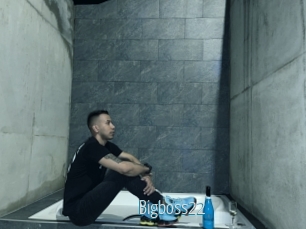 Bigboss22