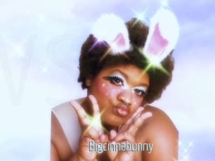 Bigcinnabunny