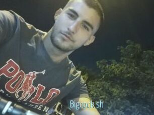 Bigcock_sh