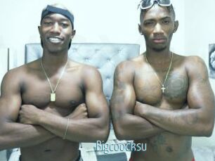 Bigcoocksu