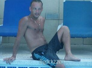 Bigdick22cm