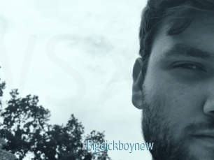 Bigdickboynew