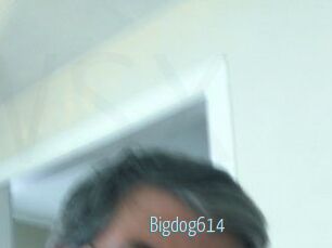 Bigdog614