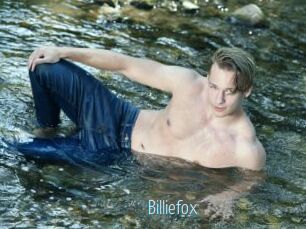 Billiefox