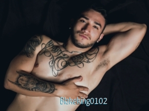 blakeking0102 Video Sexe