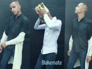 Blakemate
