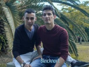 Bleicknort