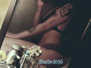 Bluebird096