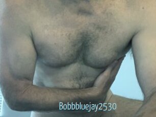 Bobbbluejay2530
