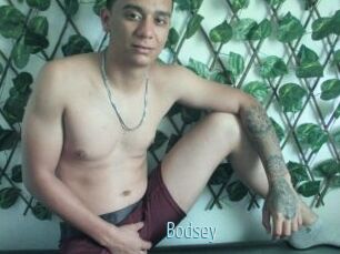 Bodsey