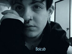 Boicub