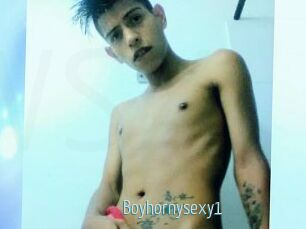 Boyhornysexy1