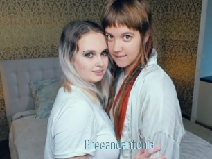 Breeandantonia