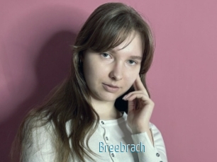 Breebrach