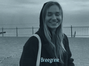 Breegrine