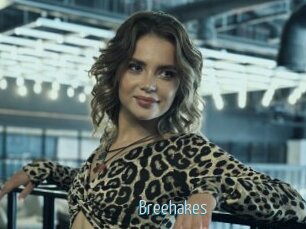 Breehakes