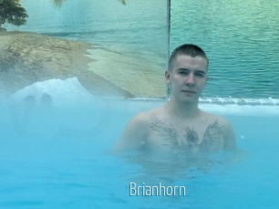 Brianhorn