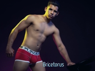 Bricetorus