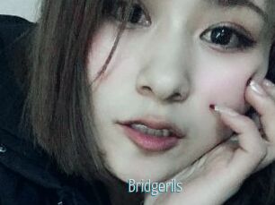 Bridgerils