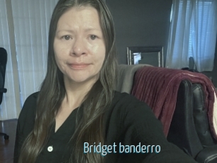 Bridget_banderro