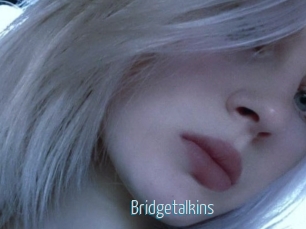 Bridgetalkins