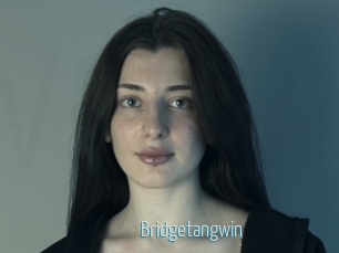 Bridgetangwin