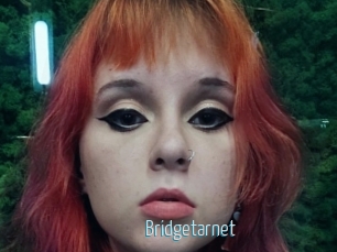 Bridgetarnet