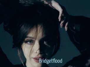 Bridgetflood