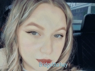 Bridgetharkey