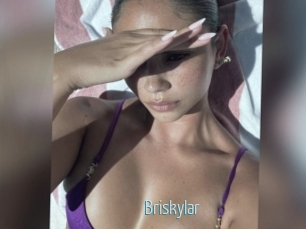 Briskylar