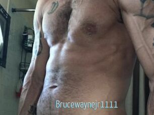 Brucewaynejr1111