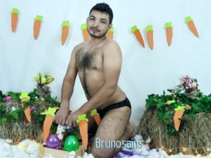Brunosains