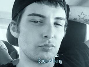Budkushking