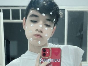 Bunnymaxi