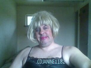 CDJANINE1182