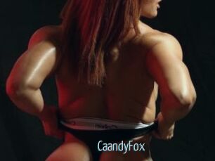 CaandyFox
