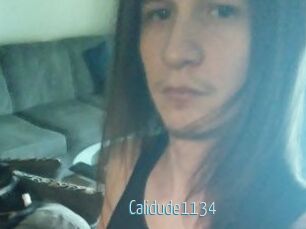 Calidude1134