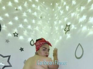 Caribean_Flower