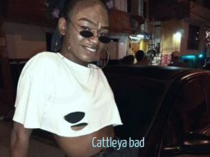 Cattleya_bad