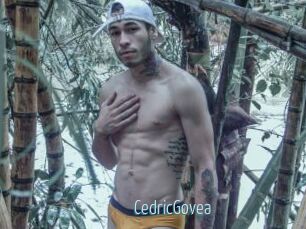 CedricGovea