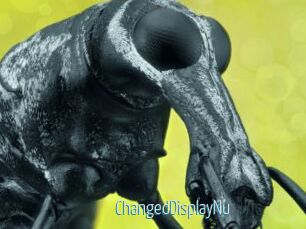 ChangedDisplayNu