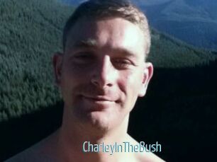 CharleyInTheBush