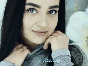 ChatSauvage Video Sexe