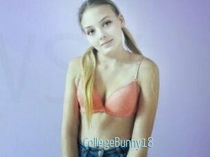 CollegeBunny18