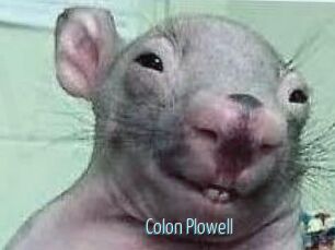 Colon_Plowell