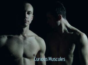 Curious_Muscules
