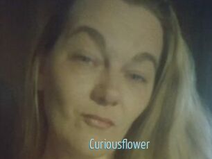 Curiousflower