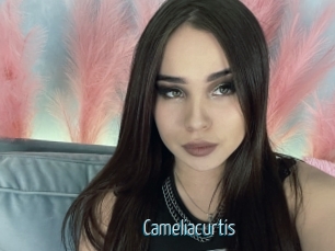 Cameliacurtis