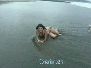 Canariona23